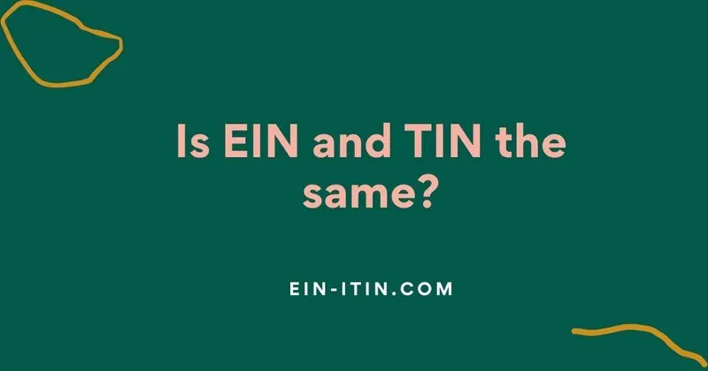 Is EIN and TIN the same?