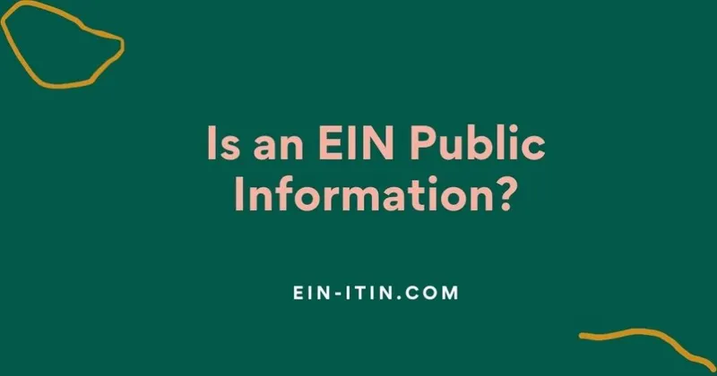 Is an EIN Public Information?
