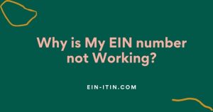 Why is My EIN number not Working? 171 Why is My EIN number not Working?
