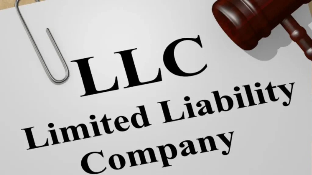 How to Start and Register a Company in the USA (Step-by-Step Guide for Foreigners) 13 How Can a Foreigner Start a Business in the US?